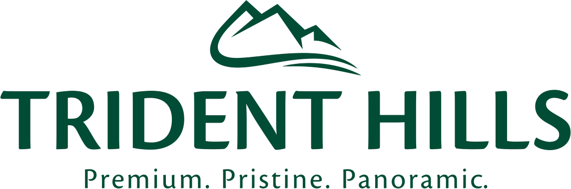 Trident Hills Private Limited